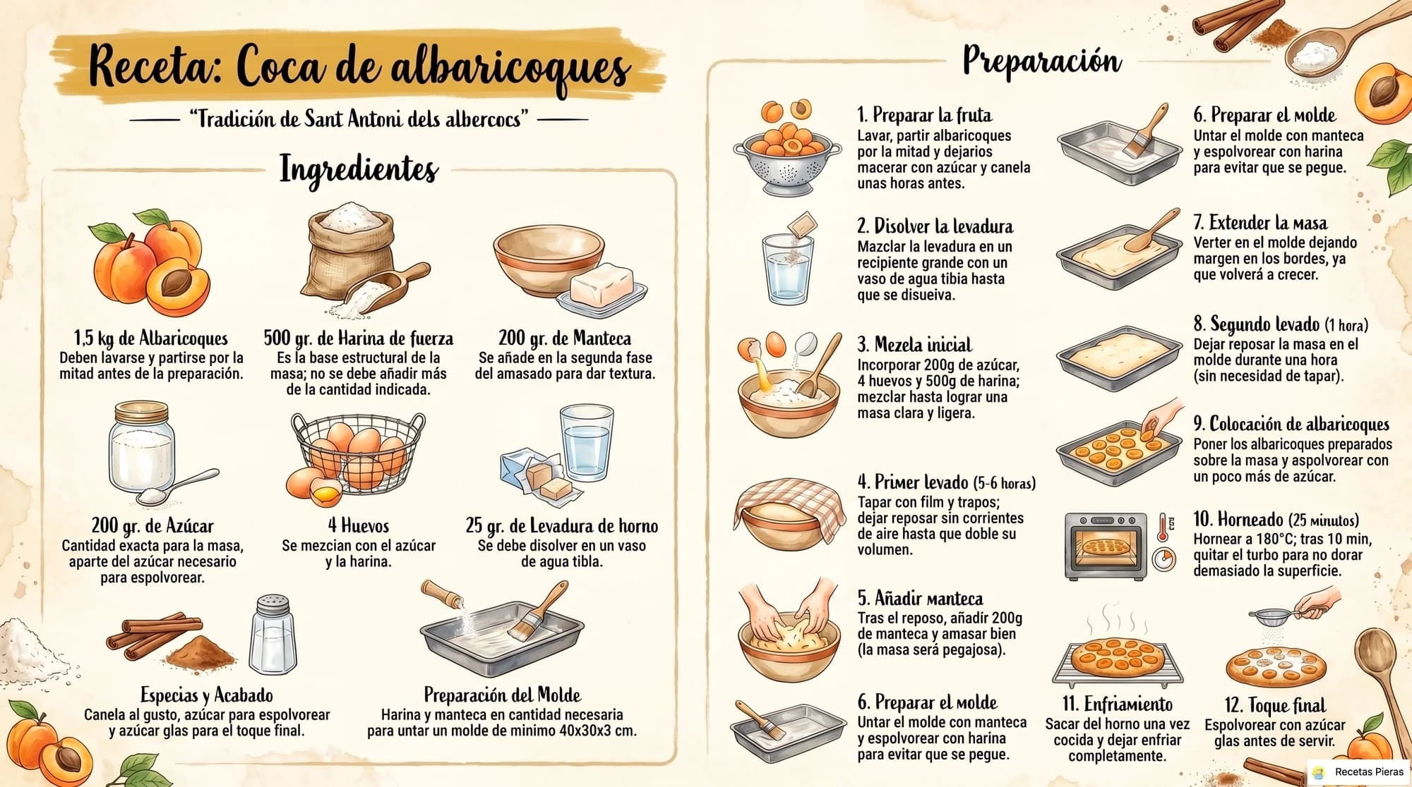 Infografía con los ingredientes y la preparación de Coca de albaricoques (ii)