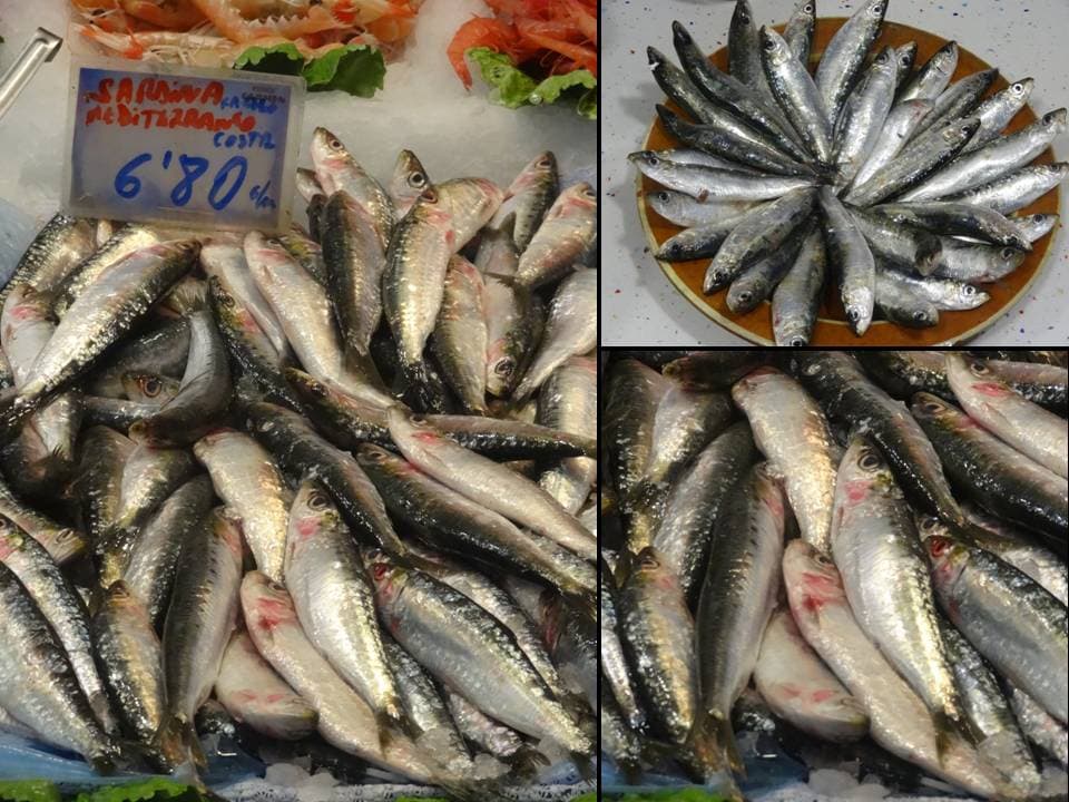Coca de trempó y sardina