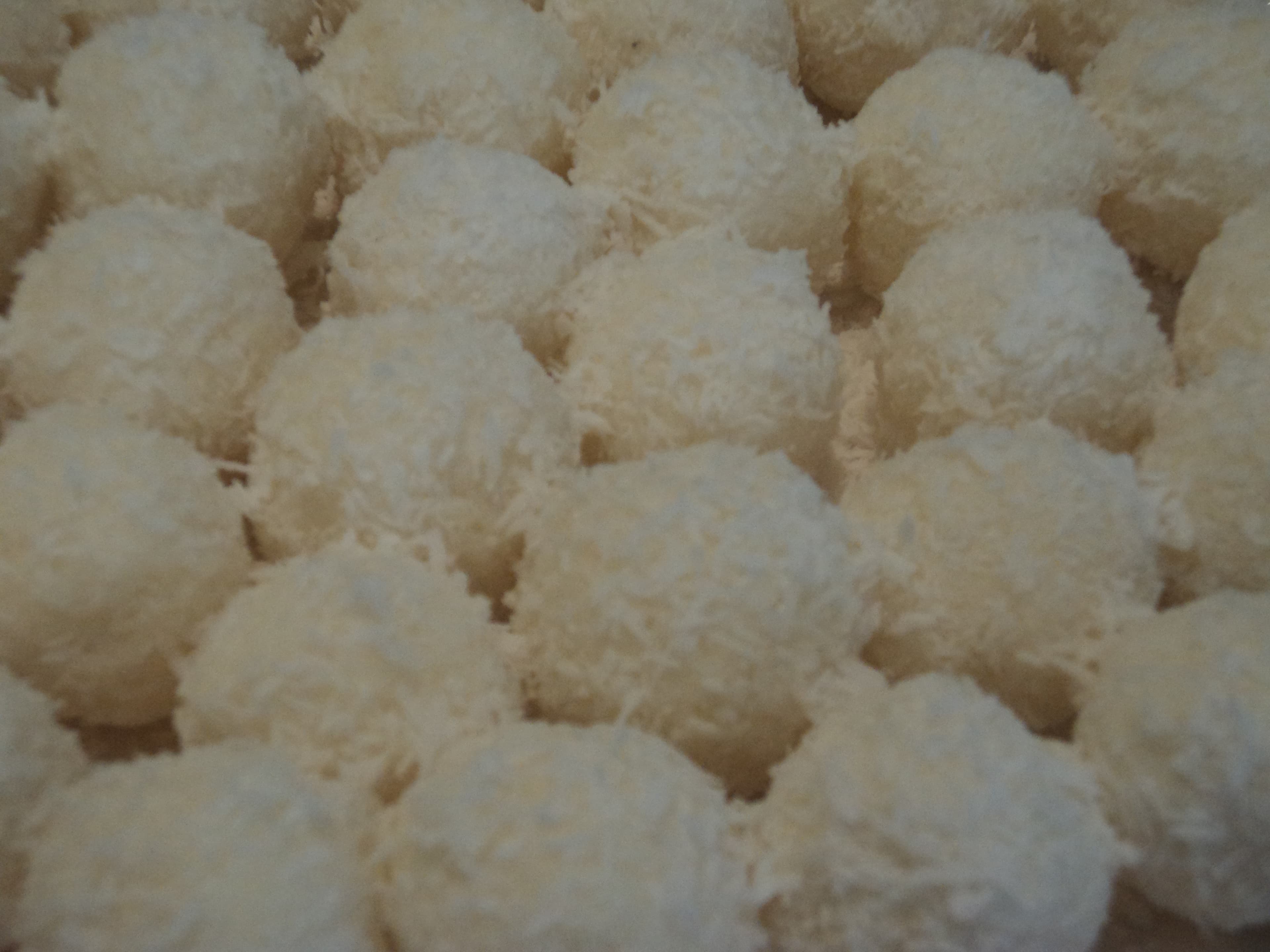 Bolitas de coco