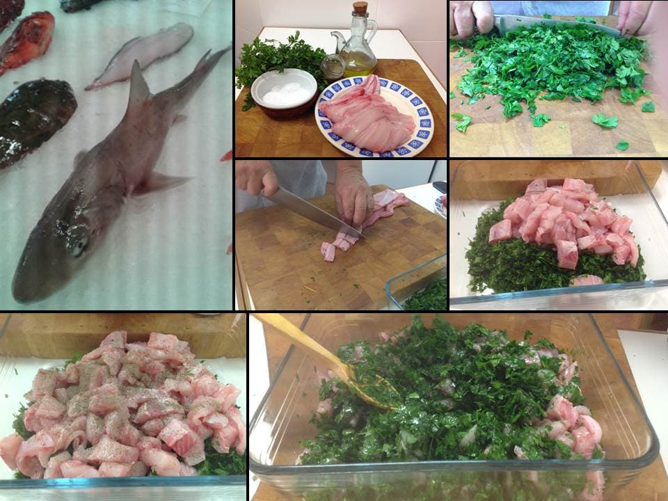 Empanadas de musola