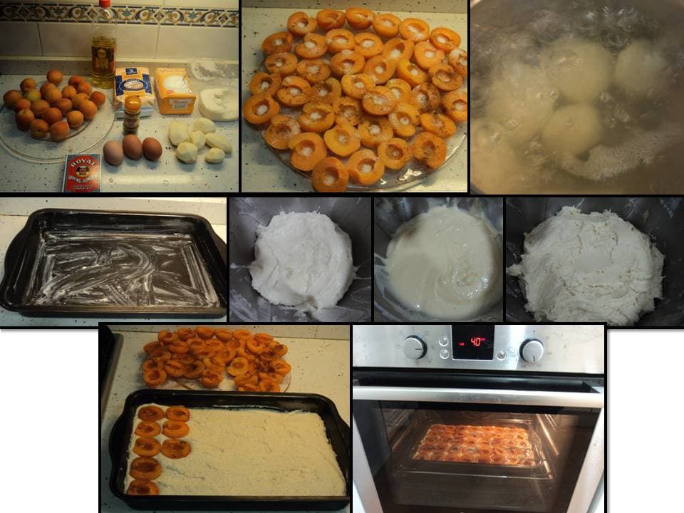Coca de albaricoques