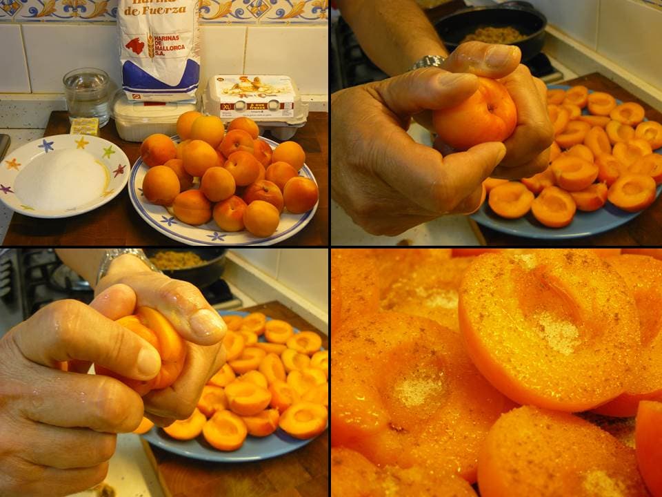 Coca de albaricoques (ii)